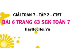 Giải bài 6 trang 63 Toán 7 tập 2 SGK Chân trời sáng tạo